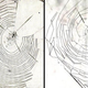 Illustration for article titled As spiders get older, their webs look worse and worse